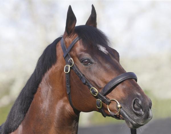 174 SW for Deep Impact