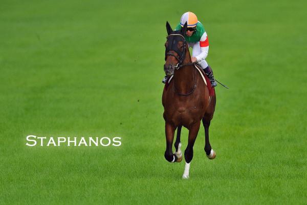 G1 Osaka Hai to Deep Impact filly