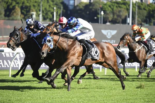 Novara Park bred creates Derby history