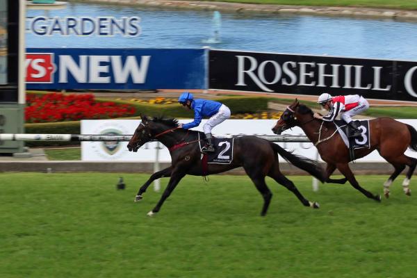 Sweynesse’s sire produces Tasman double