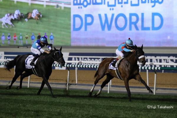 Novara set to make a Deep Impact!
