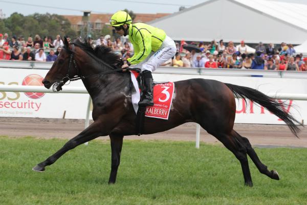Flashback to one of the greatest Melbourne Cup races