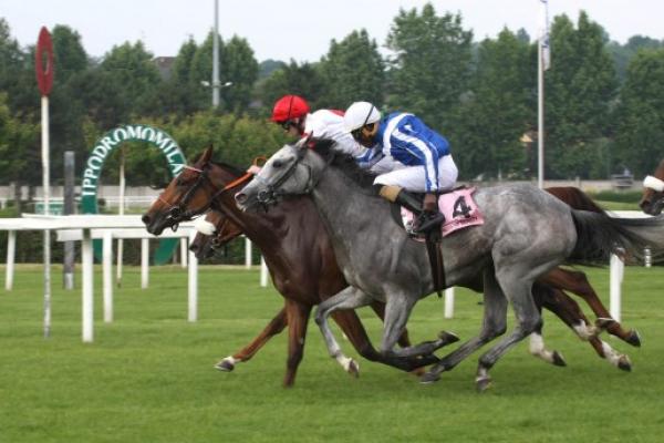 Joyful Hope in tight Oaks finish