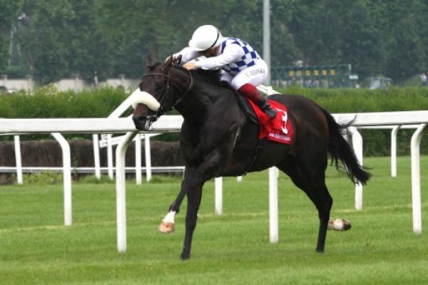 Jakkalberry relatives quinella in Group 2 Premio Carlo Vittadini