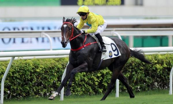 Sweynesse Champion impressive on season return