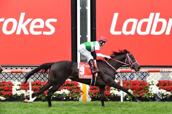 Cox Plate to Japan