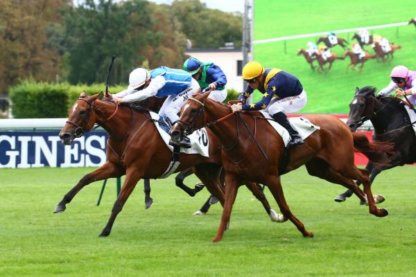 138 SW for the sire of Staphanos- Deep Impact