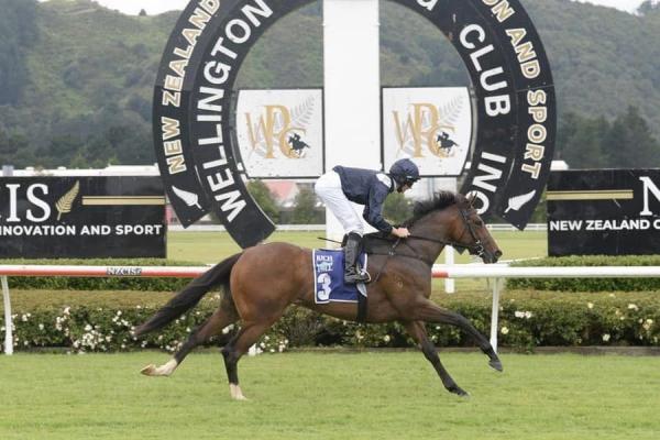 Talented two-year-old puts Staphanos on the board