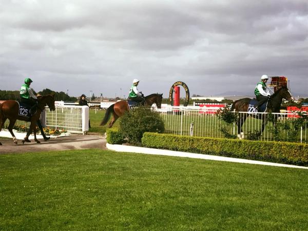 Jakkalberry 2yo’s take the next step