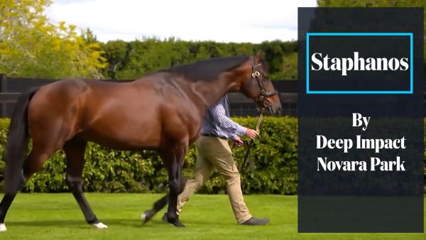 173 SW and G1 Trifecta to Deep Impact