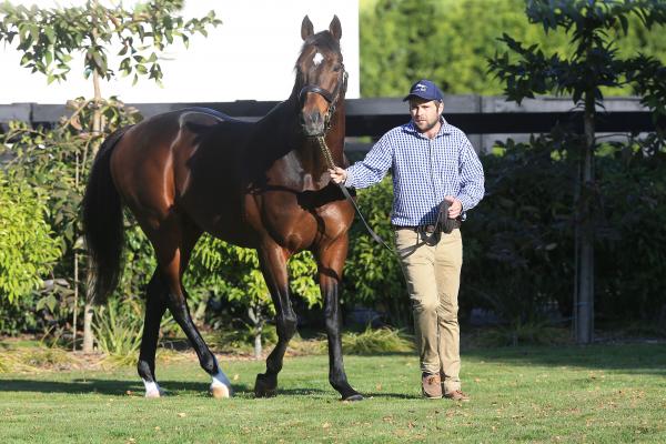 169 SW for Deep Impact