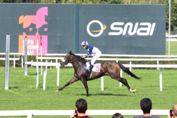 New stakes winner from the Jakkalberry family.