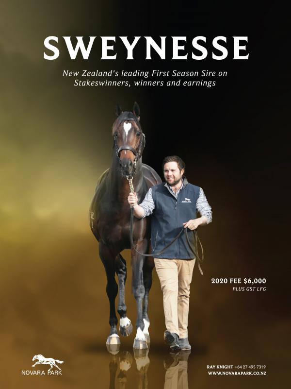Sweynesse Champion First Season Sire