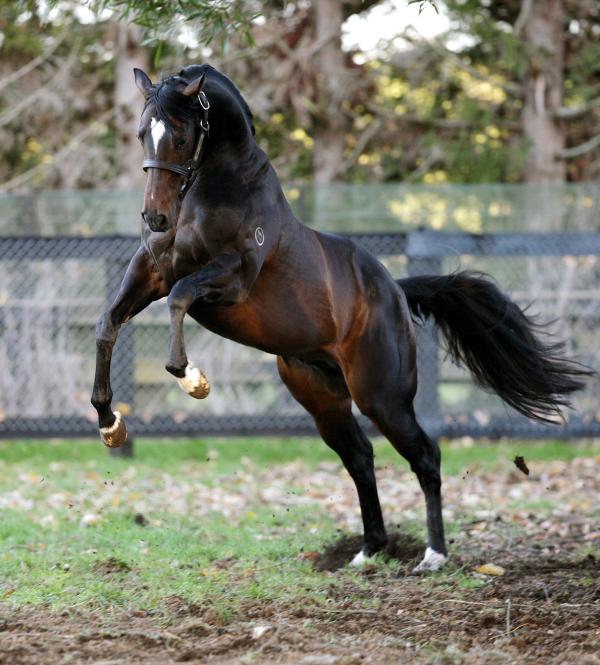 88 for Lonhro