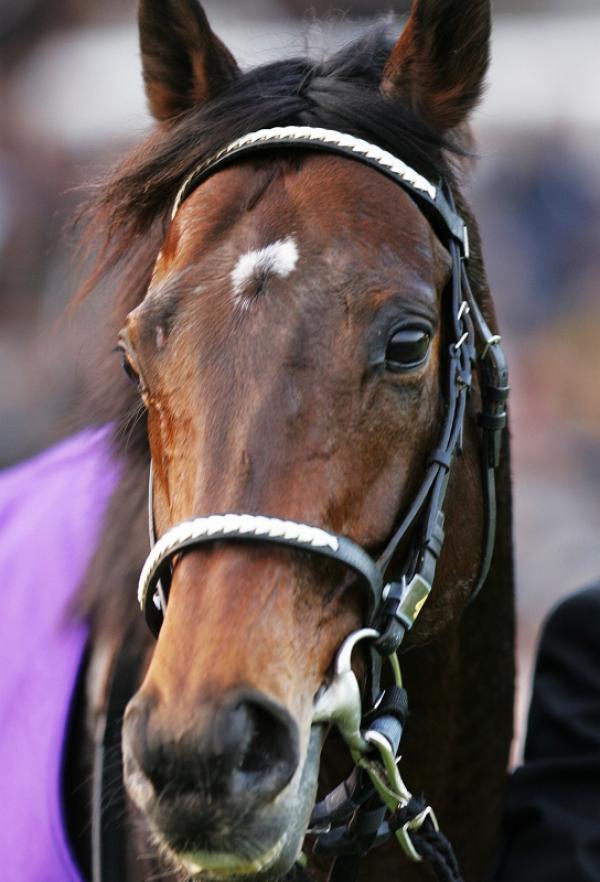 145 SW for Deep Impact