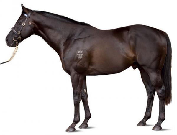 87 for Lonhro