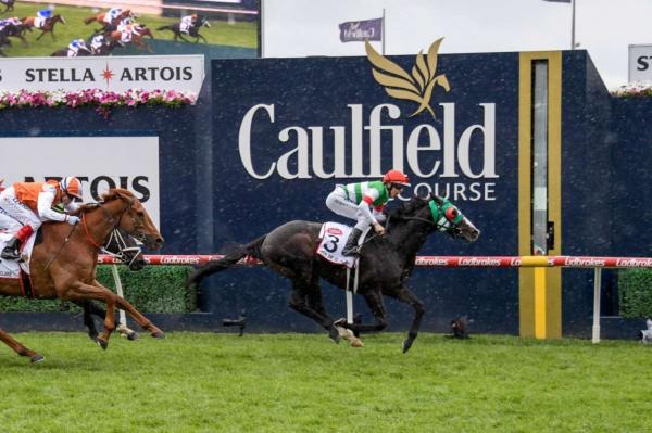 Japanese horse wins Caulfield Cup