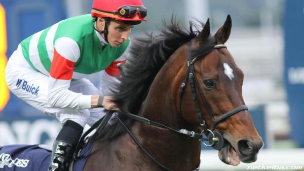 Commercial appeal in 2020 stallion fees
